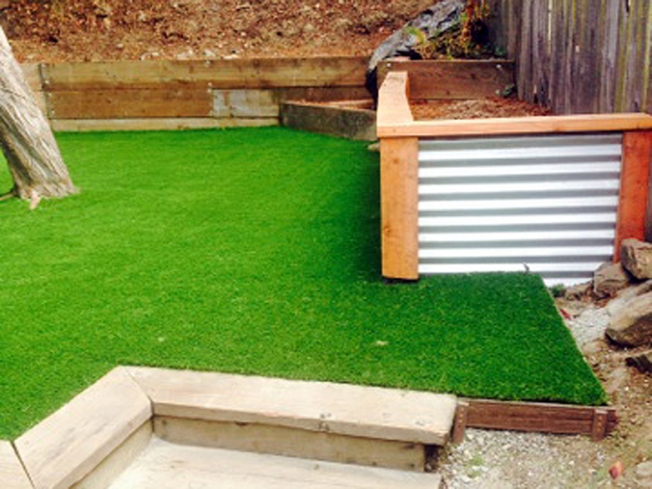 Faux Grass Waterford, California Lawn And Garden, Backyard Landscaping