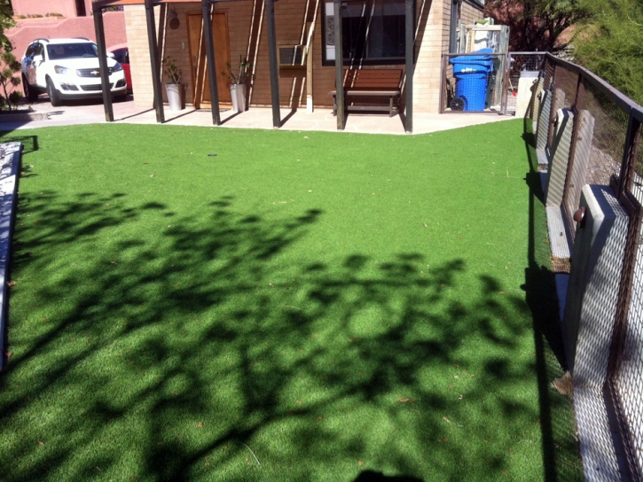 Grass Carpet Albany, California Lawn And Garden, Backyard Landscape Ideas