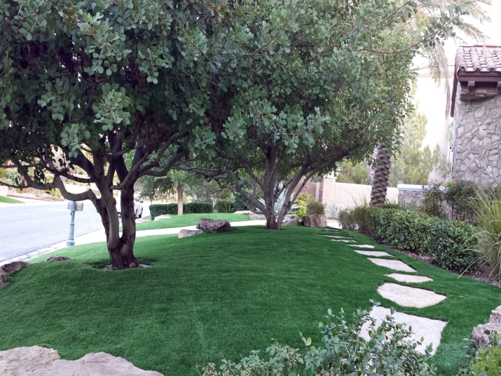 Grass Carpet Arnold, California Garden Ideas, Front Yard Landscaping Ideas