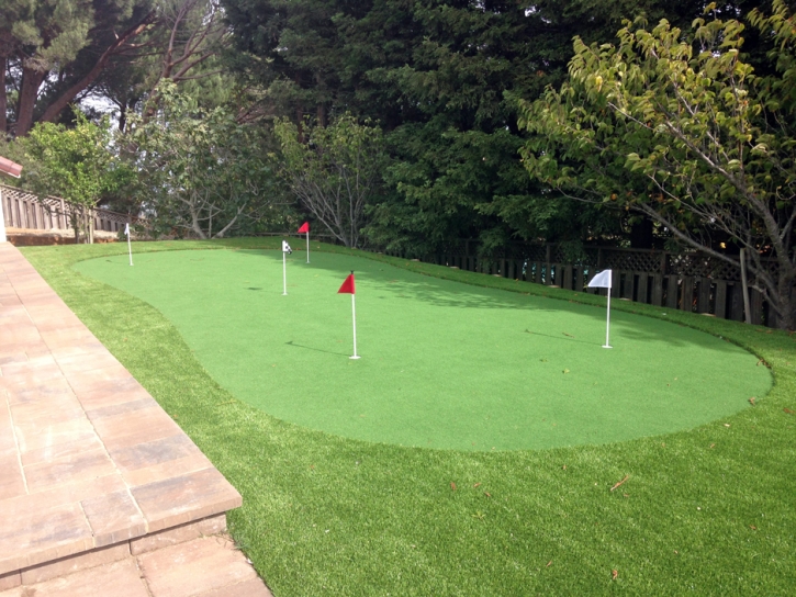 Grass Carpet Carmet, California Putting Greens, Backyard Design