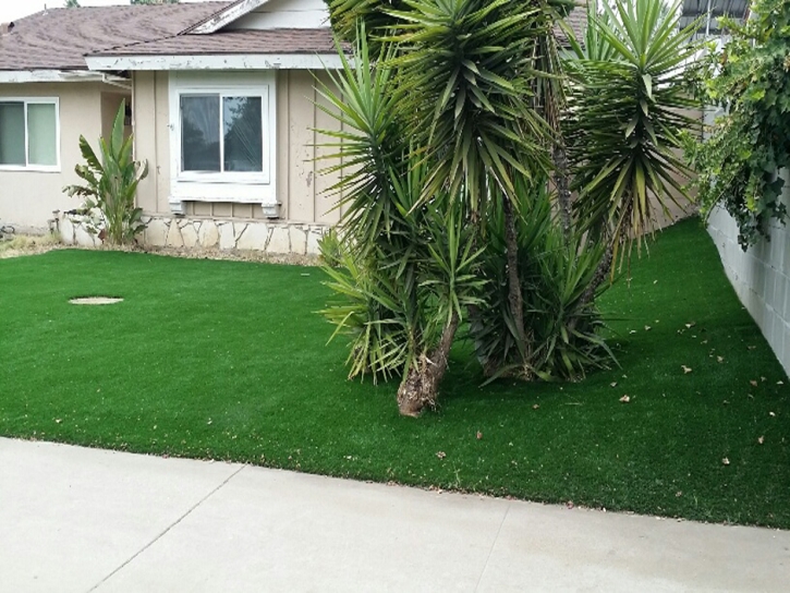 Grass Carpet Cloverdale, California Landscape Ideas, Front Yard Landscaping Ideas