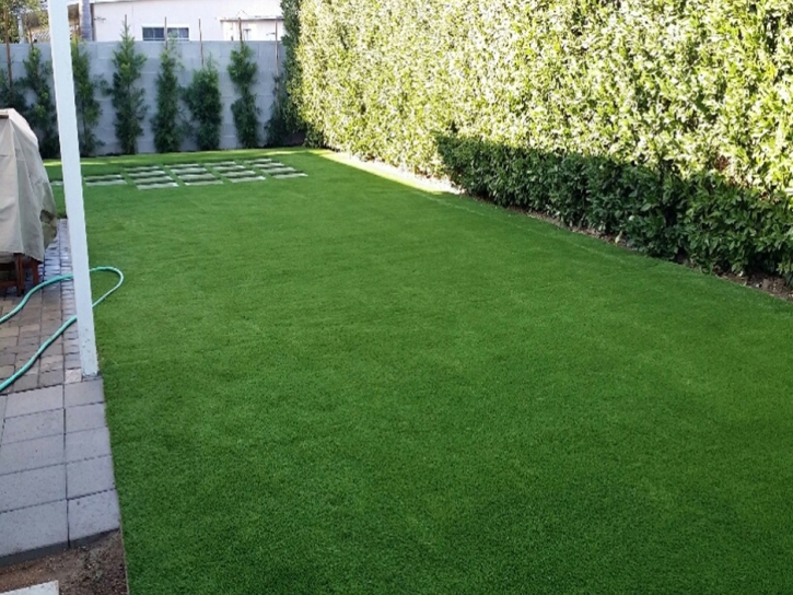 Grass Carpet Cold Springs, California Paver Patio, Backyard