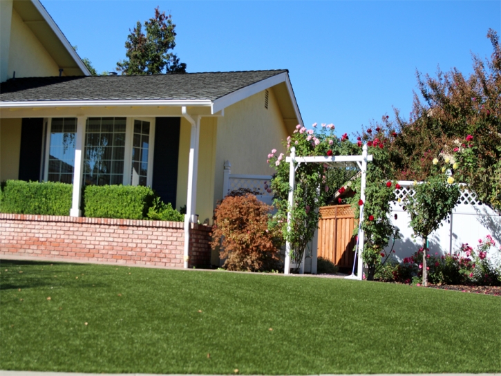 Grass Carpet Dillon Beach, California Landscape Photos, Front Yard Ideas