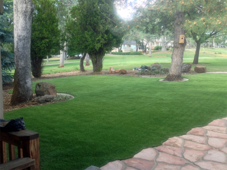 Grass Carpet El Verano, California Rooftop, Small Front Yard Landscaping