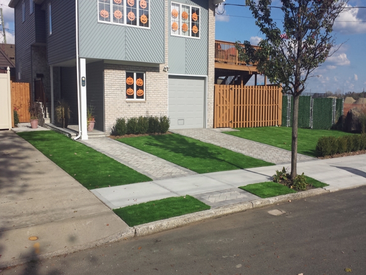 Grass Carpet Ione, California Backyard Playground, Front Yard Ideas