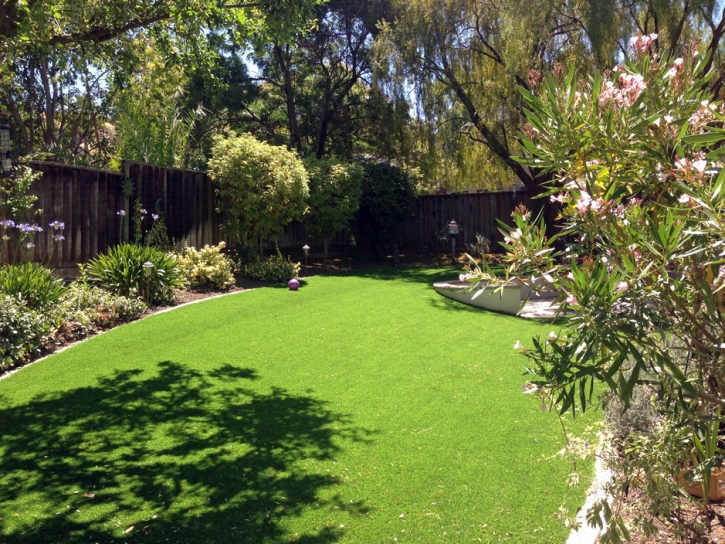 Grass Carpet Lake of the Pines, California Landscape Ideas, Small Backyard Ideas