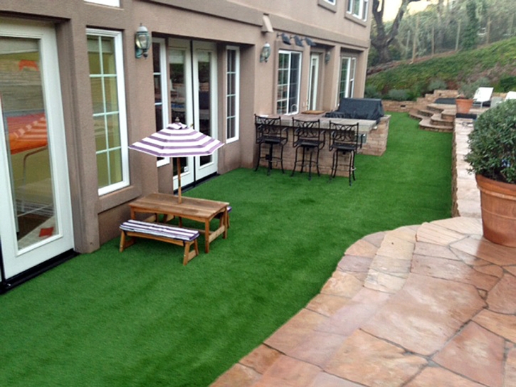 Grass Carpet North Richmond, California City Landscape, Backyard Makeover