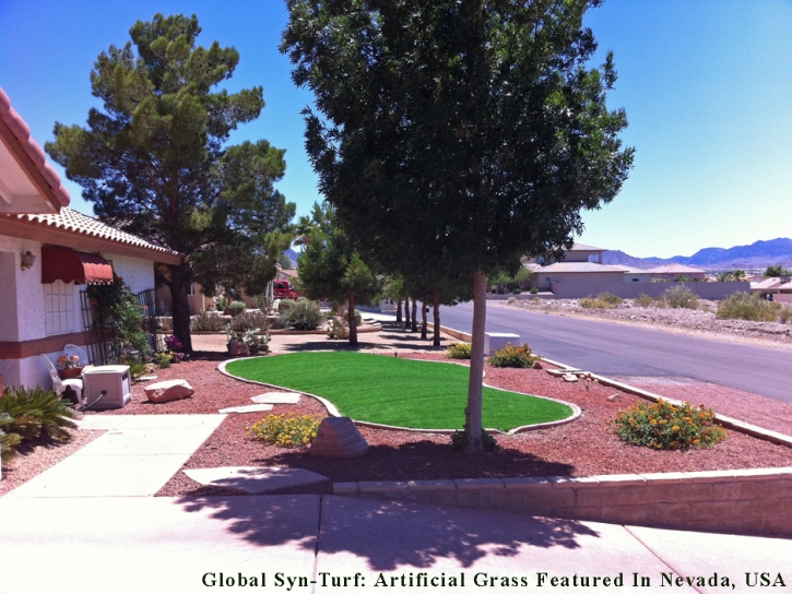 Grass Carpet Rosemont, California Landscape Design, Small Front Yard Landscaping