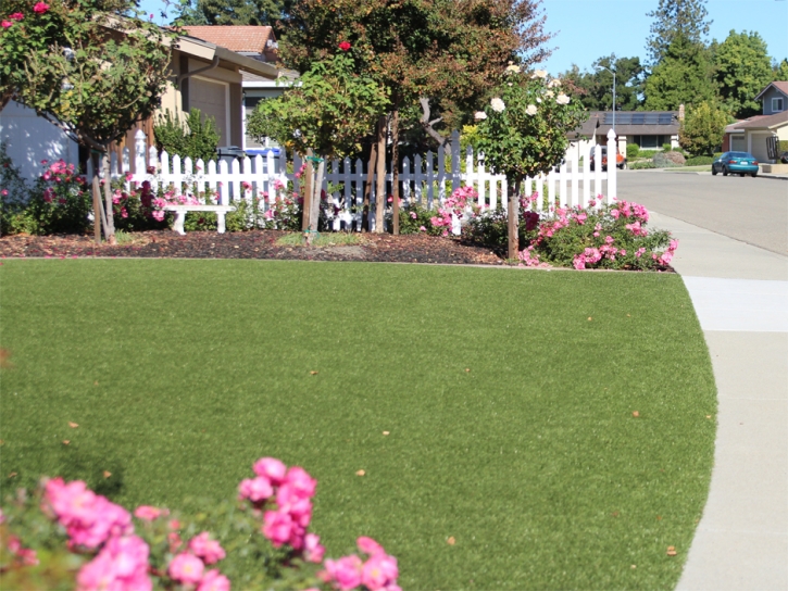 Grass Carpet West Menlo Park, California Garden Ideas, Landscaping Ideas For Front Yard