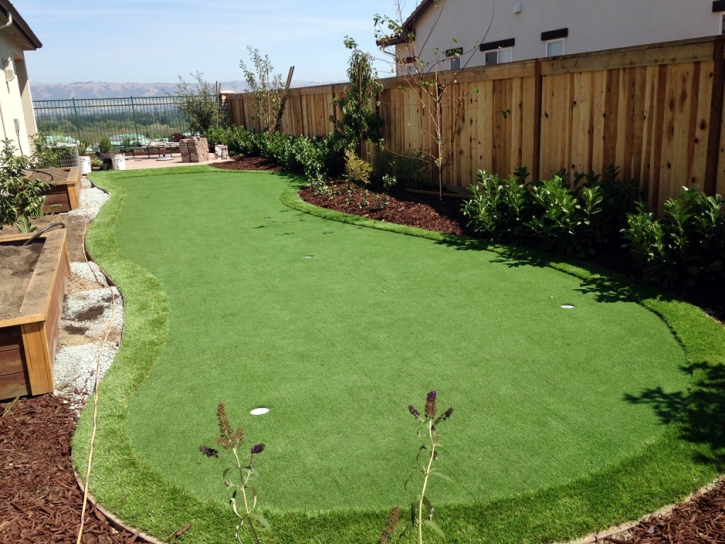 Grass Installation Mono Vista, California Paver Patio, Small Backyard Ideas