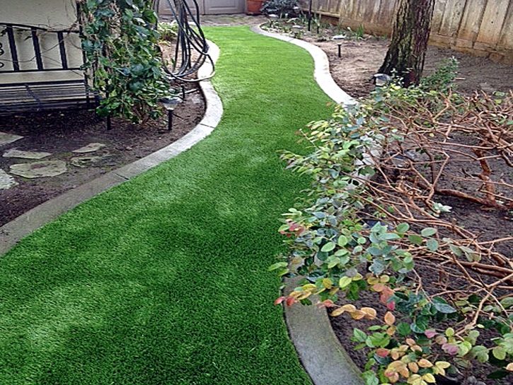 Grass Installation Murphys, California Roof Top, Small Backyard Ideas