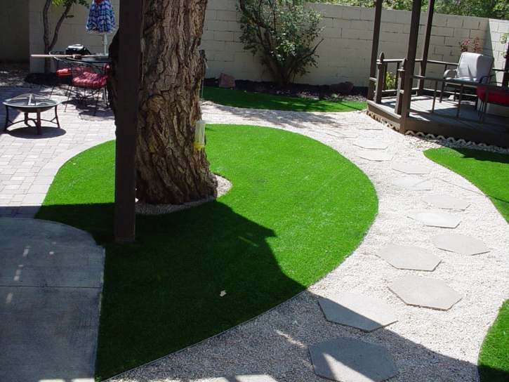 Grass Installation Rollingwood, California Lawns, Small Backyard Ideas