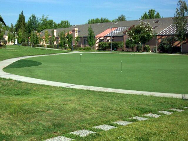 Grass Installation Stonyford, California Roof Top, Commercial Landscape