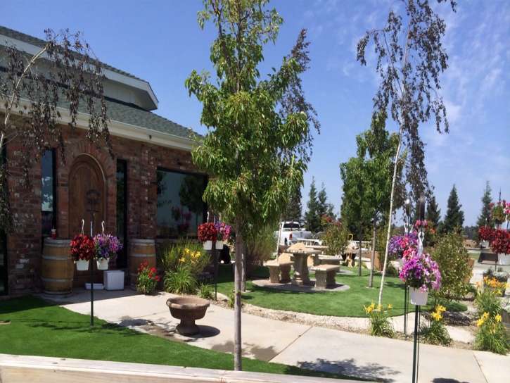 Grass Turf Auburn Lake Trails, California Home And Garden, Commercial Landscape