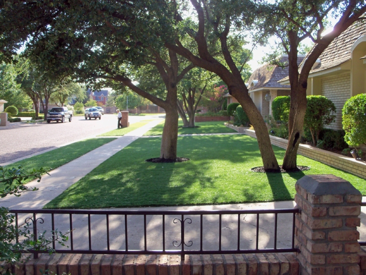 Grass Turf Clearlake, California Landscape Ideas, Front Yard Landscape Ideas