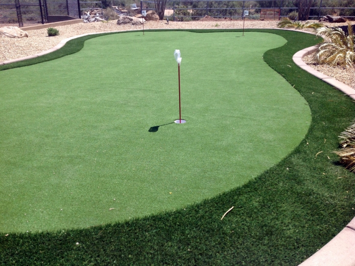 Grass Turf East Foothills, California Golf Green, Backyard Landscaping