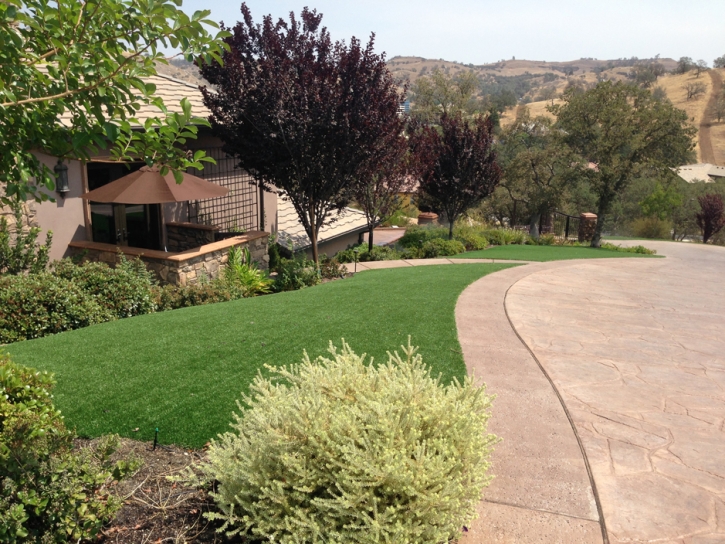 Grass Turf Lathrop, California Landscaping, Front Yard