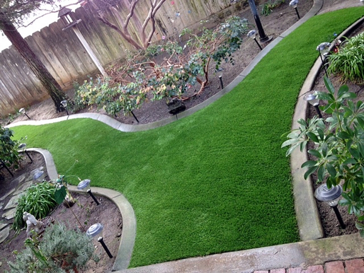 Grass Turf Oroville, California Home And Garden, Beautiful Backyards