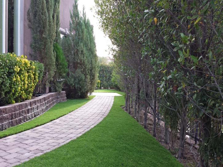 Grass Turf Petaluma, California Landscape Design, Front Yard Landscape Ideas