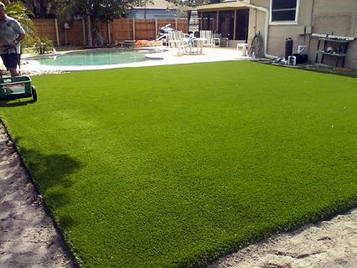 Grass Turf Riverbank, California Landscaping, Backyard Landscape Ideas