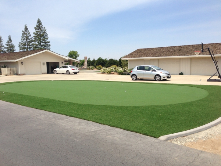 Grass Turf West Point, California Artificial Putting Greens, Front Yard Landscaping