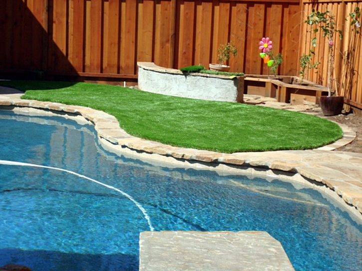 Green Lawn Loomis, California Garden Ideas, Backyard Landscaping