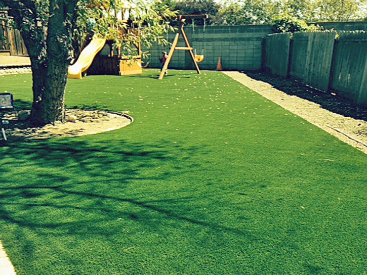 Green Lawn Strawberry, California Landscaping Business, Backyard Makeover