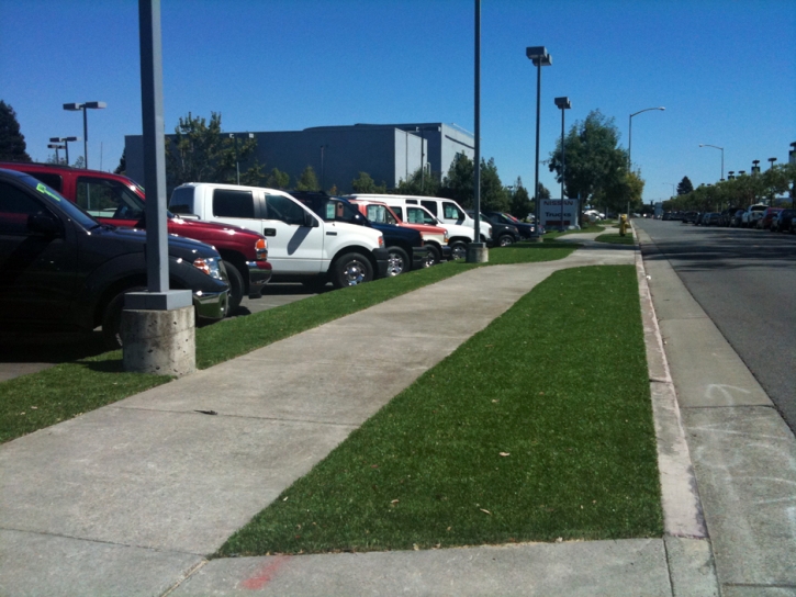 How To Install Artificial Grass Wheatland, California Garden Ideas, Commercial Landscape