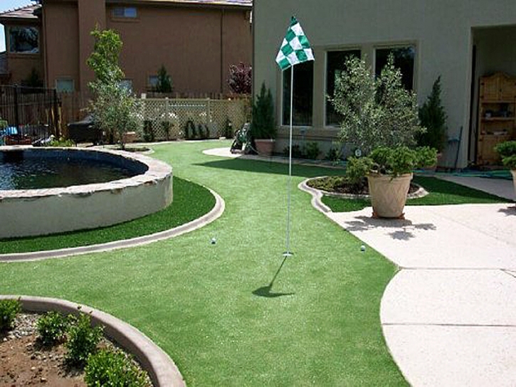 Lawn Services Newark, California Rooftop, Backyard Landscape Ideas