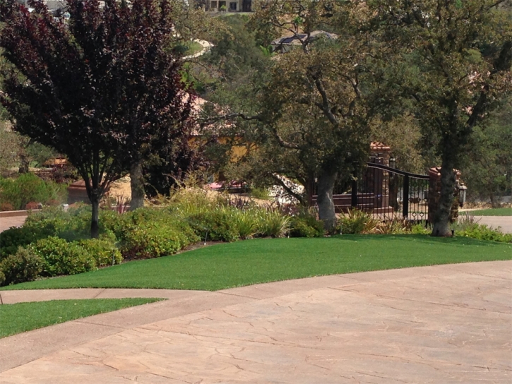 Lawn Services Petaluma, California Landscape Rock, Backyard