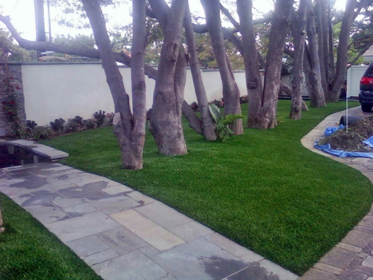 Lawn Services South San Francisco, California Paver Patio, Front Yard Landscaping