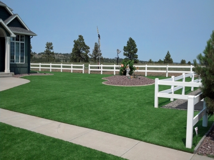 Lawn Services Tiburon, California Roof Top, Small Backyard Ideas