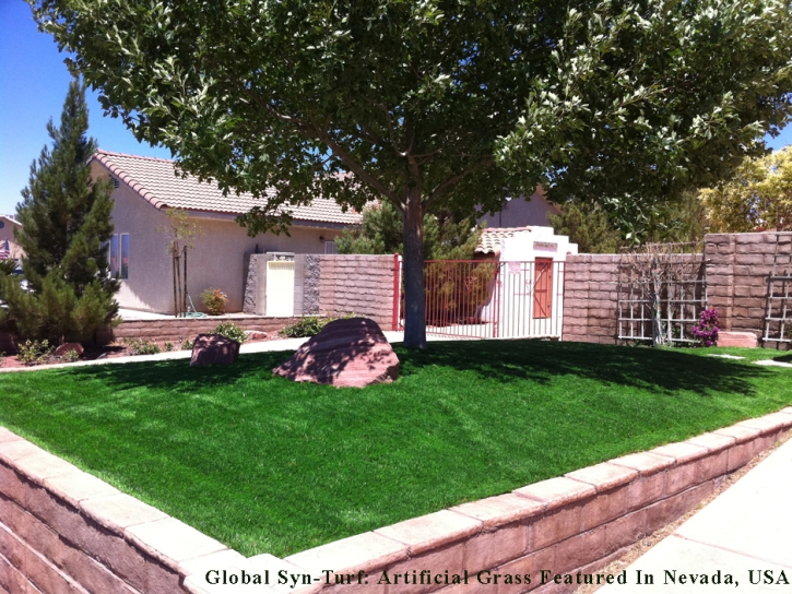 Outdoor Carpet Clarksburg, California Garden Ideas, Front Yard Design