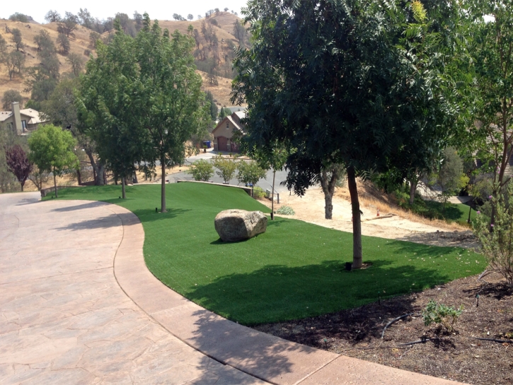 Outdoor Carpet Concord, California Paver Patio, Landscaping Ideas For Front Yard