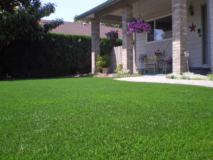 Outdoor Carpet East Richmond Heights, California Backyard Deck Ideas, Small Front Yard Landscaping