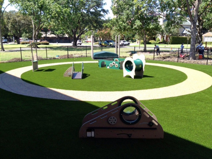 Outdoor Carpet Georgetown, California Roof Top, Commercial Landscape