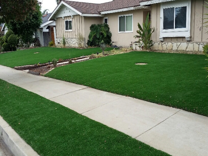 Outdoor Carpet San Bruno, California Backyard Playground, Front Yard Landscape Ideas