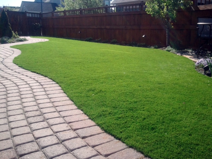 Outdoor Carpet Victor, California Artificial Turf For Dogs, Backyard