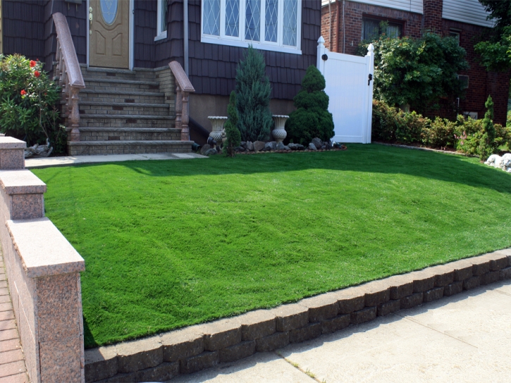 Plastic Grass Black Point-Green Point, California Backyard Deck Ideas, Front Yard Landscape Ideas