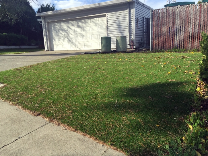 Plastic Grass Black Point-Green Point, California Rooftop, Landscaping Ideas For Front Yard