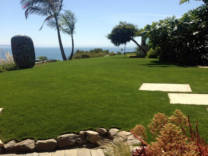 Plastic Grass Bodega, California Backyard Playground, Commercial Landscape