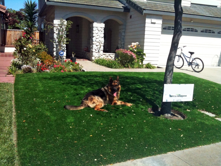 Plastic Grass Clay, California Backyard Playground, Grass for Dogs