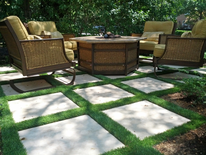 Plastic Grass Escalon, California Design Ideas, Backyard Ideas