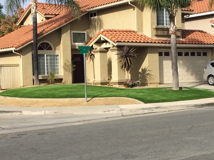 Plastic Grass Glen Ellen, California Home And Garden, Front Yard Design