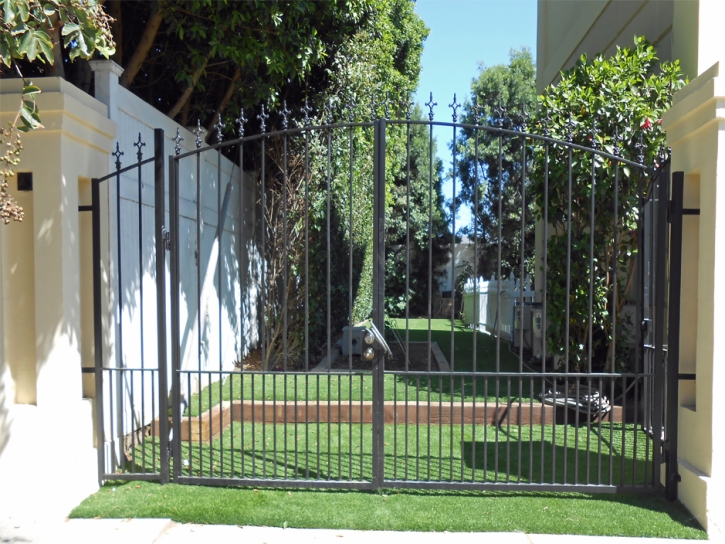 Plastic Grass Sausalito, California Garden Ideas, Landscaping Ideas For Front Yard