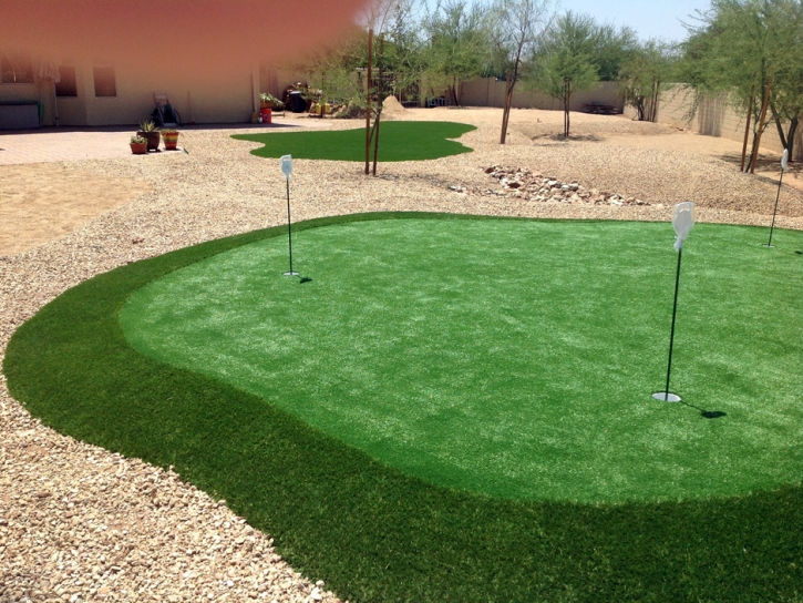 Plastic Grass Stanford, California Putting Greens, Beautiful Backyards