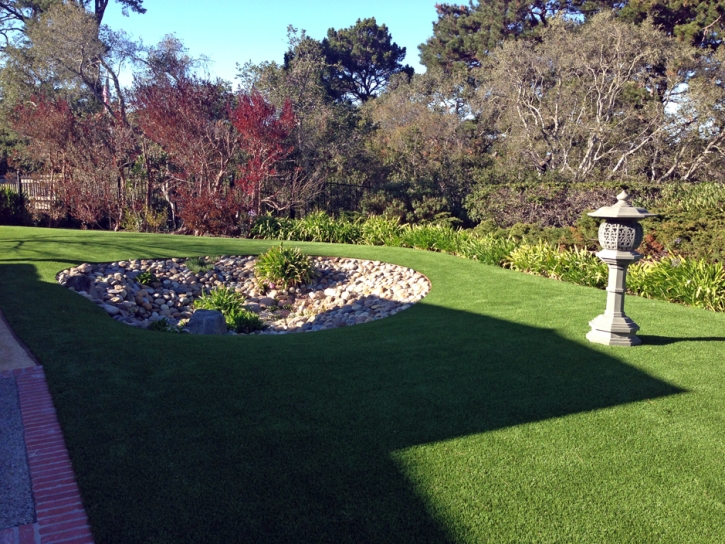 Plastic Grass Trowbridge, California City Landscape, Backyards