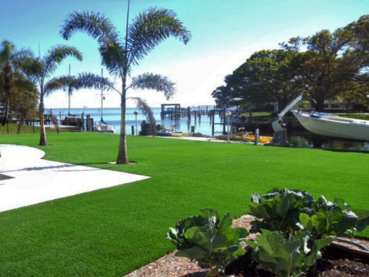 Synthetic Grass Bayview, California Lawns, Natural Swimming Pools