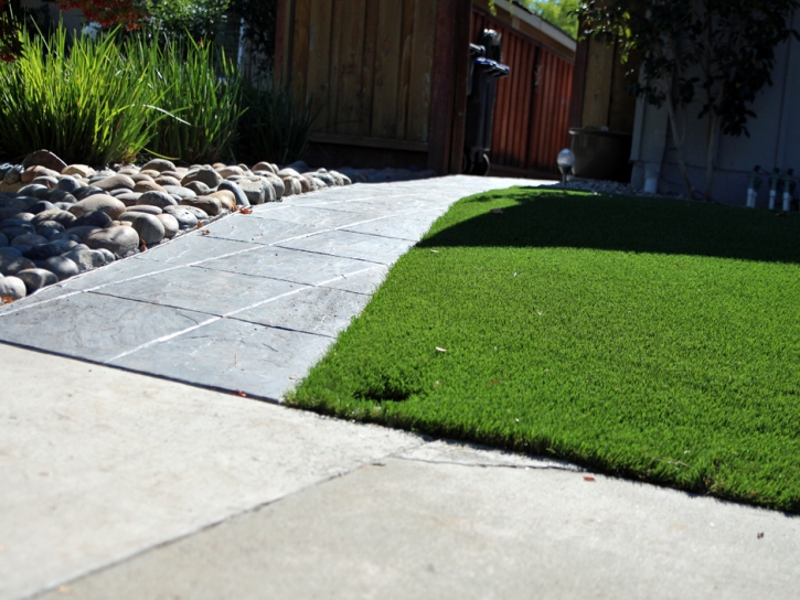 Synthetic Grass Cost San Jose, California Landscape Photos, Front Yard Landscape Ideas