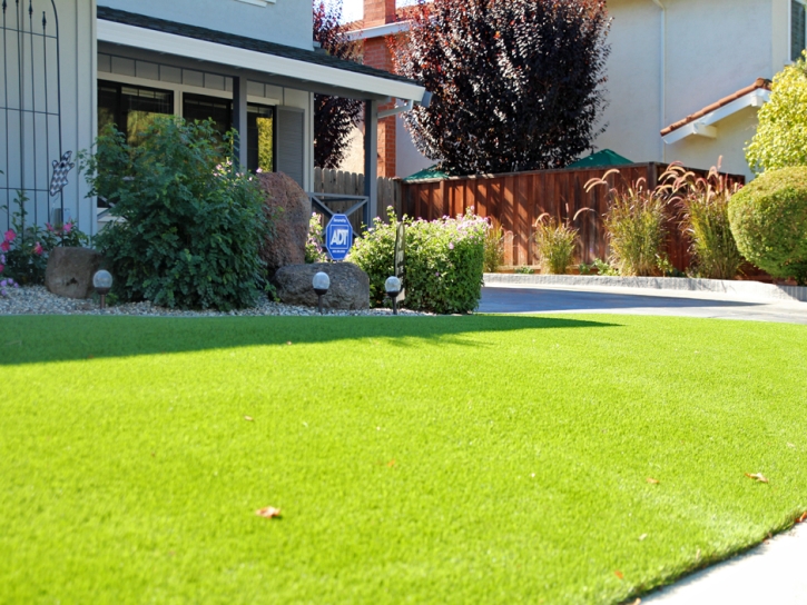 Synthetic Grass Cost Sunnyvale, California Landscape Design, Front Yard